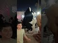اجواء خلال ثاني أيام عيد الأضحى المبارك مجمع نخيل بغداد 