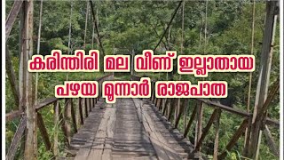 Old munnar road |focus malayalam