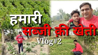 हमारी सब्जी क़ी खेती Vlog2 || Mahona Vlog