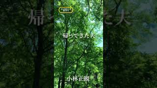 〜帰ってきた夫〜　小林正観　《朗読》