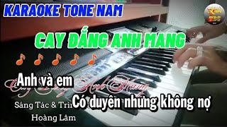Karaoke Cay Đắng Anh Mang Tone Nam ( beat gốc dể hát) Hoàng Lâm