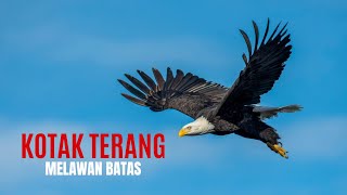 Kotak Terang - Melawan Batas (Lagu Penyemangat TIMNAS Indonesia di Kualifikasi Piala Dunia)