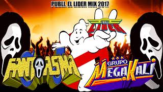 Grupo Mega Kali Mix  2017