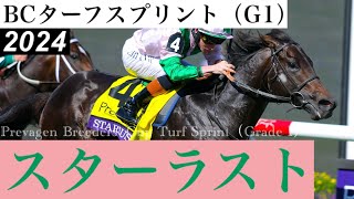 伏兵スターラストが差し切りV、地元総大将コグバーンは5着【BCターフスプリント2024】/ Starlust【Prevagen Breeders' Cup Turf Sprint 2024】