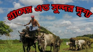 গ্রামের অনেক সুন্দর জায়গা আছে