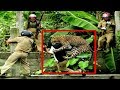 Most Dangerous Animal Attacks on Human NEW (Only for 18+) | BOXITE