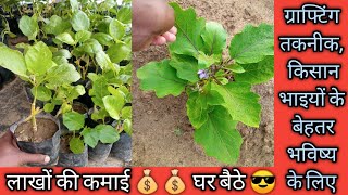 Grafting technology for better future of farmers.