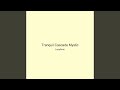 Tranquil Cascade Mystic