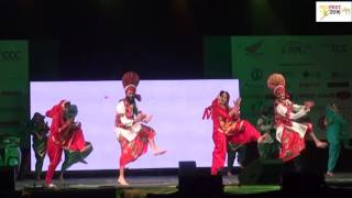 PECFEST Performance | Bhangra PEC