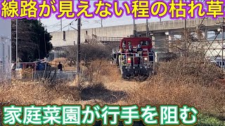 どうやって進む？廃線のような場所に現れた大物車！近隣住民も集まる驚愕の光景