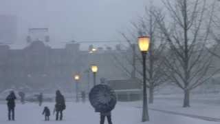 雪の東京駅丸の内・皇居付近 2014.2.8