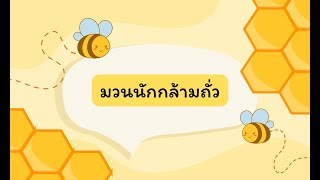 มวนนักกล้ามถั่ว