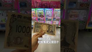 1000円で何個取れる？ #クレーンゲーム #ufoキャッチャー #カービィ #任天堂