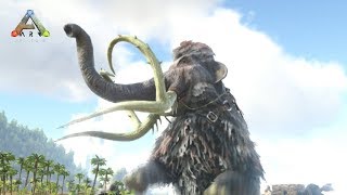 象の祖先ではない！？マンモスをテイムする！#13 【ark survival evolved】