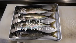 【江戸前寿司】鯵（アジ）の握りを仕込みから握り寿司になるまで紹介　How to  cook Aji（horse mackerel）Sushi