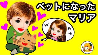 マリア猫になってハルトのペットになる❤︎ 妖精の魔法★