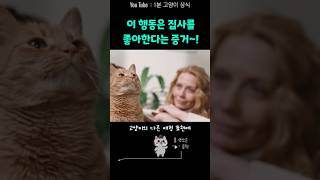 귀여움 폭발💚 고양이가 기분 좋을 때 하는 5가지 행동