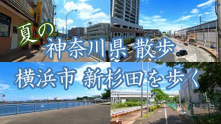 ( 4K ) 神奈川県 散歩 横浜市 夏の新杉田を歩く ( Walk yokohama city Shinsugita )