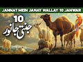 10 Janwar Jo Jannat Mein Jayenge | Animals Go To Heaven | Animals Of Jannah | Al Habib Islamic