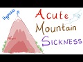 Acute Mountain Sickness (AMS); What Happens Up There 👆