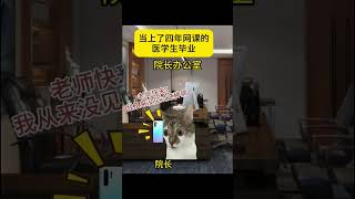 当上了四年网课的医学生毕业  #喵不可言 #猫meme #funny #喵 #cat #喵星人 #pets #貓 #医学生 #猫meme小剧场 #shorts