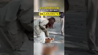 女生公园里遇到流浪猫演绎什么叫爱不释手猫猫人你有点冒昧了吧