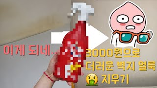 더러운 벽지 얼룩 지우기 할게용 이개 대내.. 도배할 돈으로 소고기 사먹었습니다 ㅋ