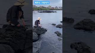 제주도 구멍치기 초보도 할 수 있음