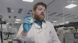 Preparing samples for examination under a microscope