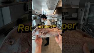 Red Snapper Gourmet 3 Ways🐟✨