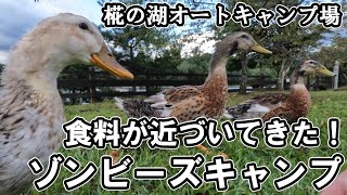 【キャンプ】椛の湖オートキャンプ場に行ってきた！【ゆうキャン△】