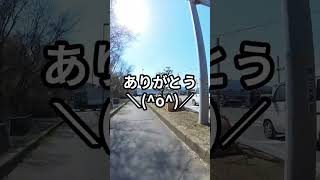 【30歳から始める自転車日本一周】5日目 #shorts #日本一周 #ロードバイク #30代 #自転車旅