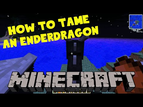 TAMING THE ENDERDRAGON IN MINECRAFT (no mods) TAMING THE ENDERDRAGON IN MINECRAFT (no mods)