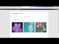 Vubon Hover Effects Wordpress Plugin Video Tutorial - (How to Use)