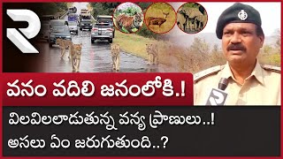 Nallamala Forest Wild Animals : వనం వదిలి జనంలోకి.! విలవిలలాడుతున్న వన్య ప్రాణులు..! | RTV