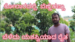 success story of avocado grow farmer in  kolar, Karnataka..(fild visite)