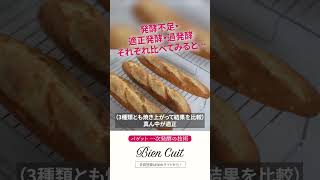 【パン教室ビアンキュイ】焼きたてのバゲット食べ比べ！発酵が違うとこんなに違う！　一次発酵のの技術_5　#Shorts