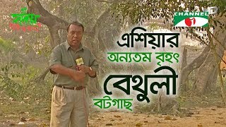 ১১ একর জায়গাজুড়ে এশিয়ার অন্যতম বৃহৎ বেথুলী বটগাছ | Shykh Seraj | Channel i |