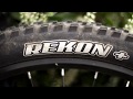 Maxxis Rekon and Ikon copertoni mtb PLUS 650b+