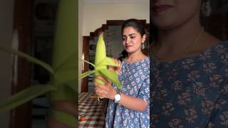 మా నాన్న చెప్పిన tip🥰#video #minivlog #shortsviral #goneviral #shortvideos #ShopWithYouTube