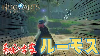 【ホグワーツレガシー】ルーモスで戦闘に挑んでみたwwwww【HOGWARTS LEGACY】