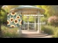 Nathan Tran - Sunflower Love [Acoustic / Audio Visualization]