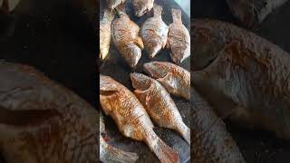 Manchanabele #trending #food #manchanabeledam #virralshorts #viralvideo #manchanabele #fish #video