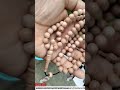 jual tasbih bertuah kayu kaboa sancang asli 99 biji 8 mm bukalapak tokopedia shopee rp. 450.000