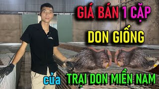 Giá Bán 1 Cặp Don Giống Của Trang Trại Don Miền Nam Là Bao Nhiêu? | Chăn Nuôi Việt