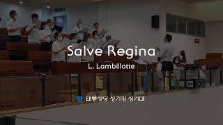 [태릉성당] Salve Regina - L. Lambillotte (성모승천 대축일 특송)