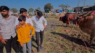 श्री अमोल कोंडे यांचा बुलेट आणि माऊली खासदार आमदार केसरी घाट vlog #मावळ माती