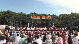 【公式】踊り侍 15燃ゆる 第16回こいや祭り　メイン会場