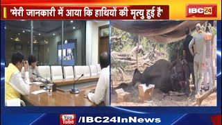 Bandhavgarh Elephant Death : बांधवगढ़ टाइगर रिजर्व में हाथियों की मौत पर CM Dr Mohan Yadav ने कहा...