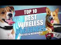 ✅ Top 5: Best Wireless Pet Fence For Large Dog 2022 [Tested & Reviewed]